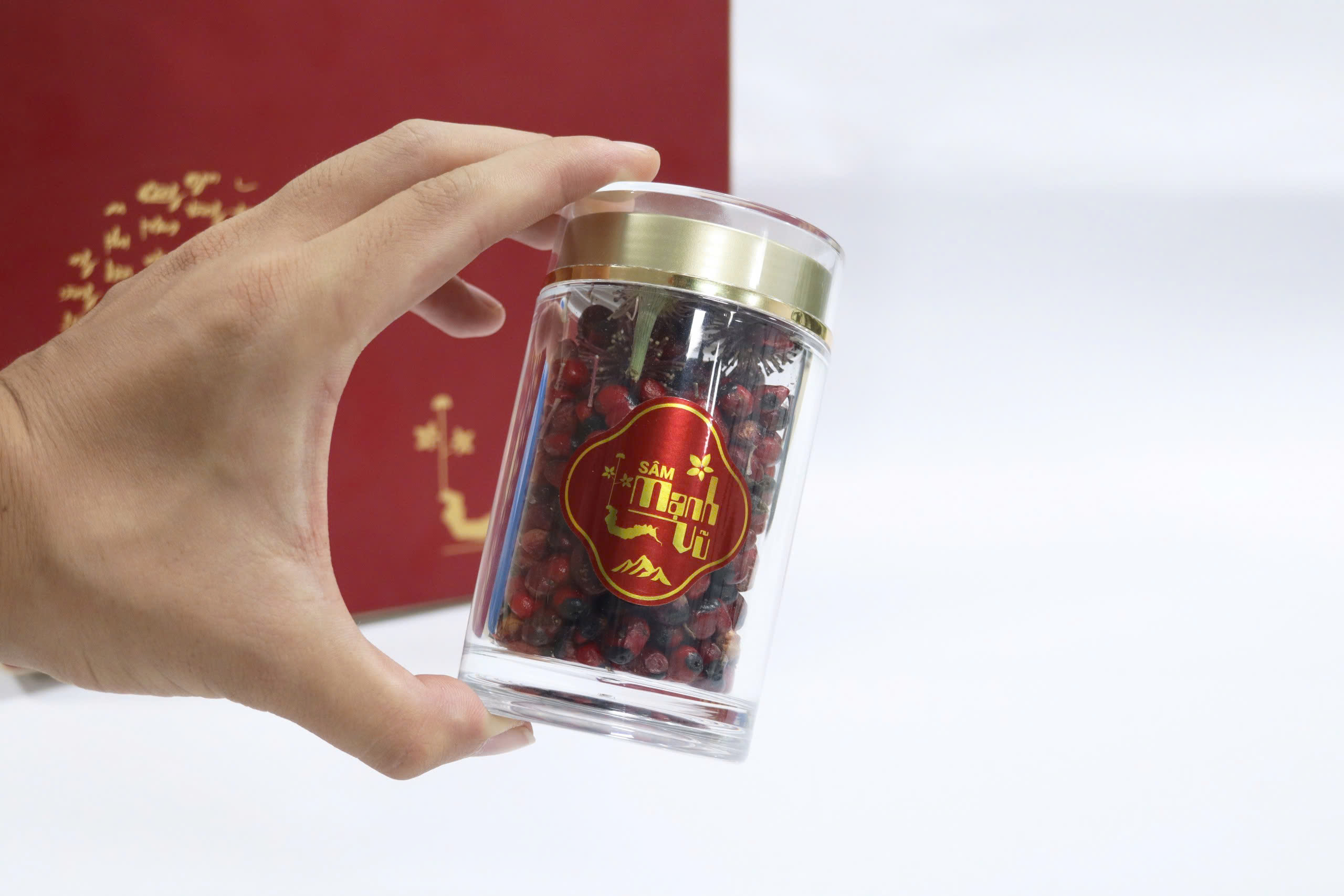 Hộp quả sâm Lai Châu (Lọ 20Gr)