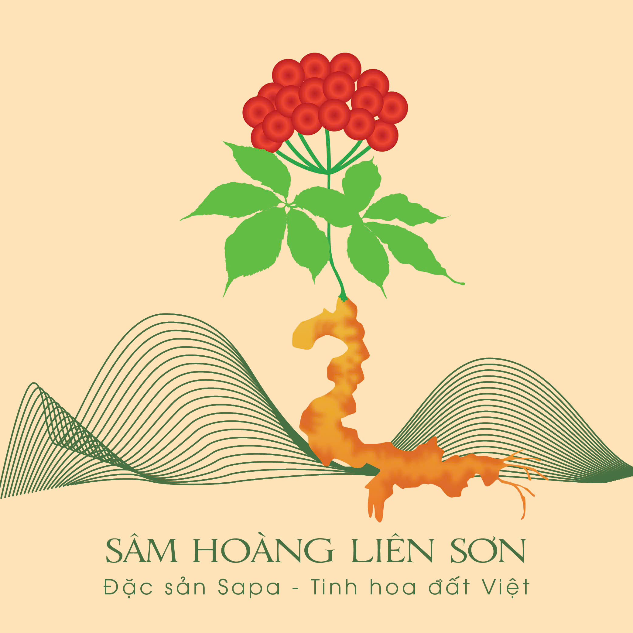 Trà Huyết Áp Hoàng Liên